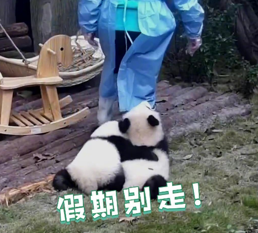 返程高峰不怕堵，至上音樂旗下車載音響讓你暢享音樂盛宴！