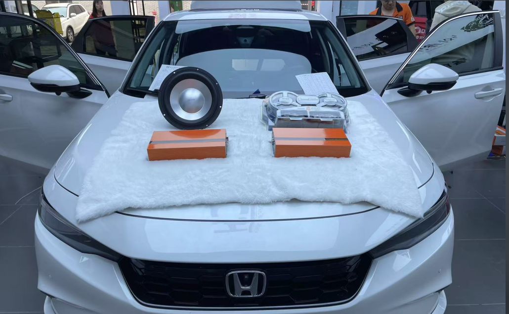 本田型格 (2).jpg